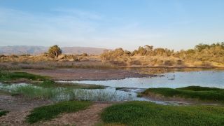 2023-11-GranCan-Maspalomas_Oasis-39.jpg